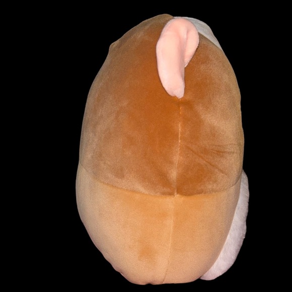 Garret the Guinea Pig 7-inch Squishmallows Ultra Soft Plush - Picture 5 of 5